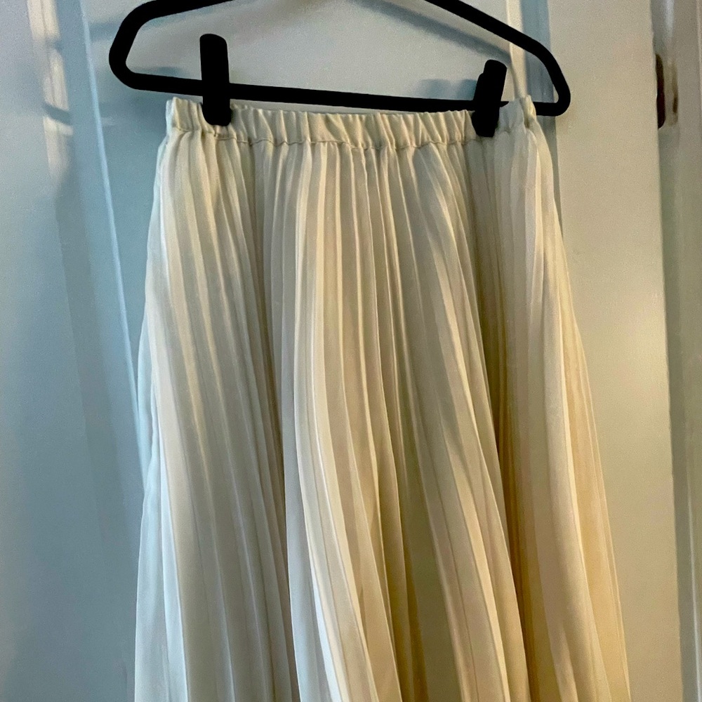 Fei pleated skirt (from Anthropologie)